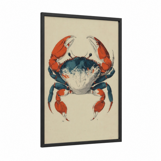Red Sea Crab framed art print — black wood frame — red and teal palette