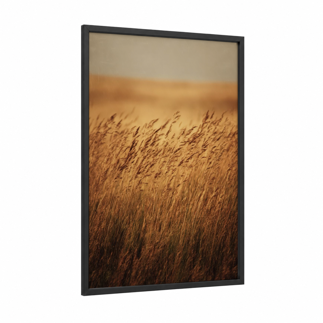 Golden Grain Field framed art print — black wood frame — gold and beige palette