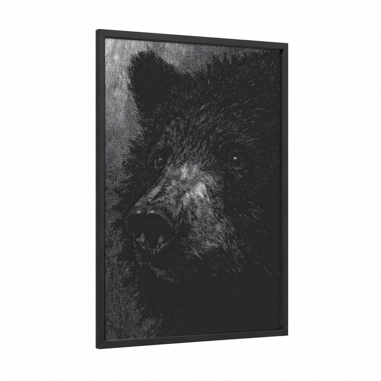 Intense Sloth Bear framed art print — black wood frame — black and white palette