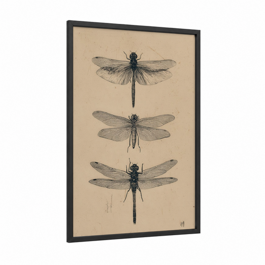 Vintage Dragonfly Study framed art print — black wood frame — beige and black palette