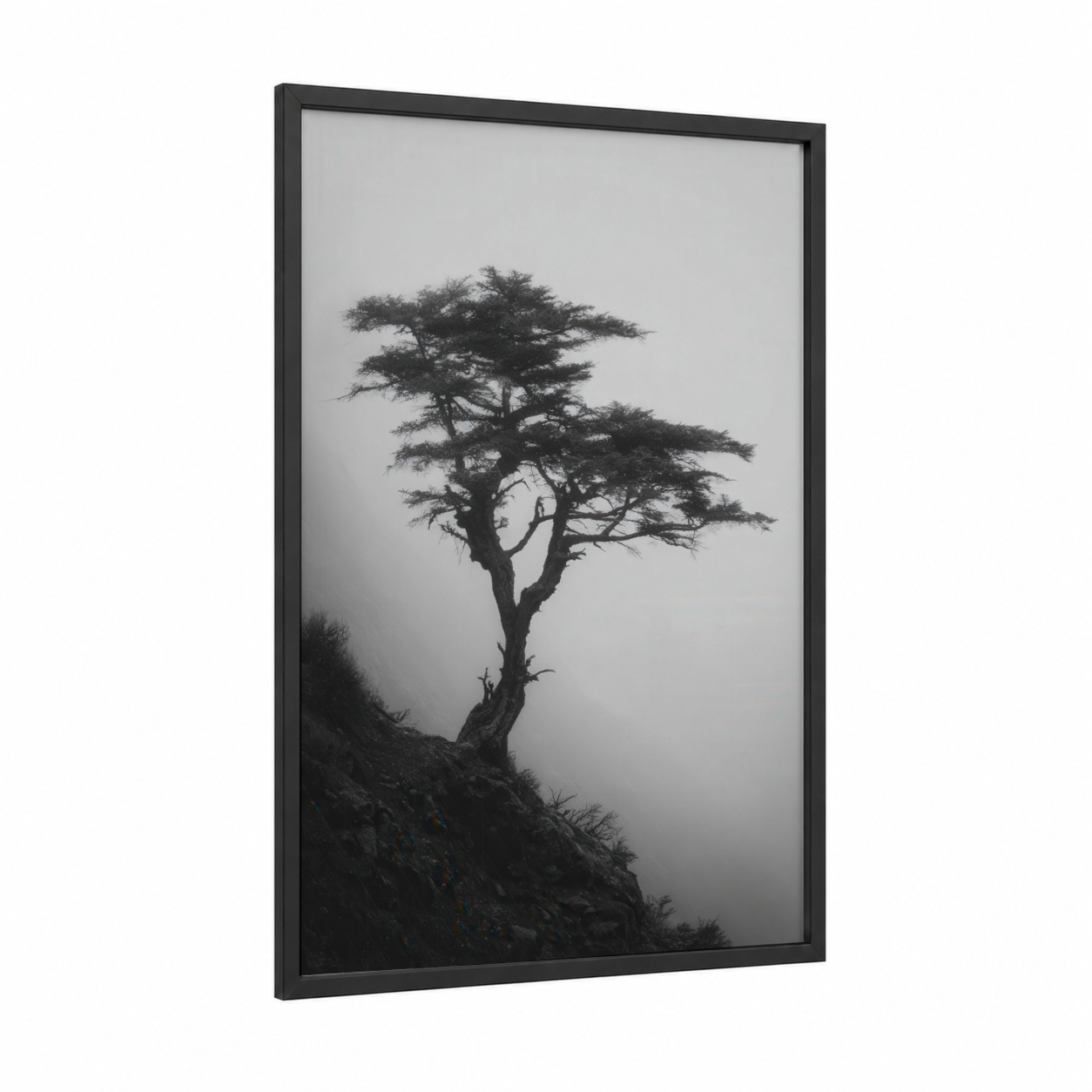 Solitary Cypress framed cypress tree print — black wood frame — black and white palette
