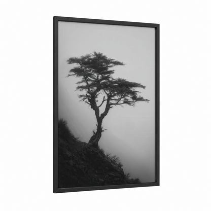 Solitary Cypress framed cypress tree print — black wood frame — black and white palette