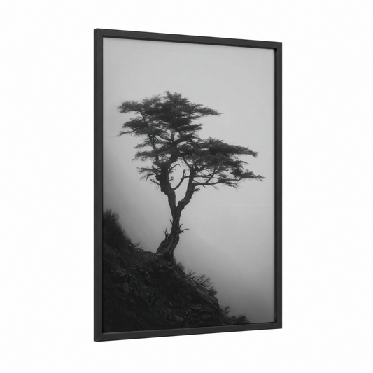 Solitary Cypress framed cypress tree print — black wood frame — black and white palette