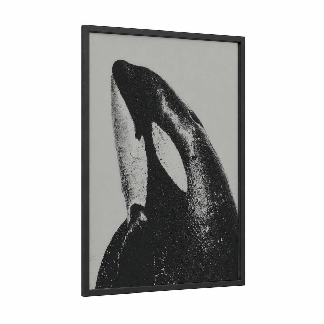 Breaching Orca framed orca whale print — black wood frame — black and white palette