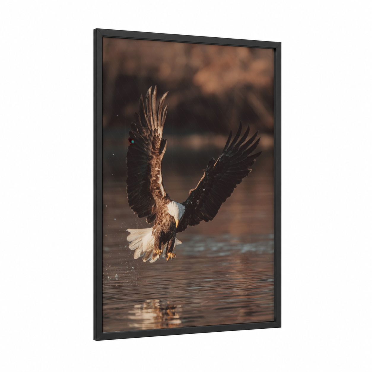 Golden Eagle Strike framed art print — black wood frame — gold and brown palette