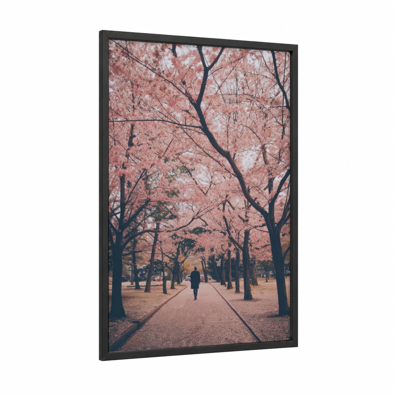 Sakura Pathway framed cherry blossoms print — black wood frame — pink and black palette