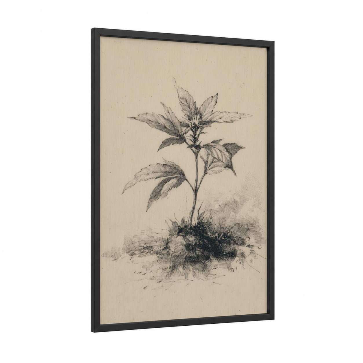 Cannabis Botanical Study framed art print — black wood frame — black and white and beige palette