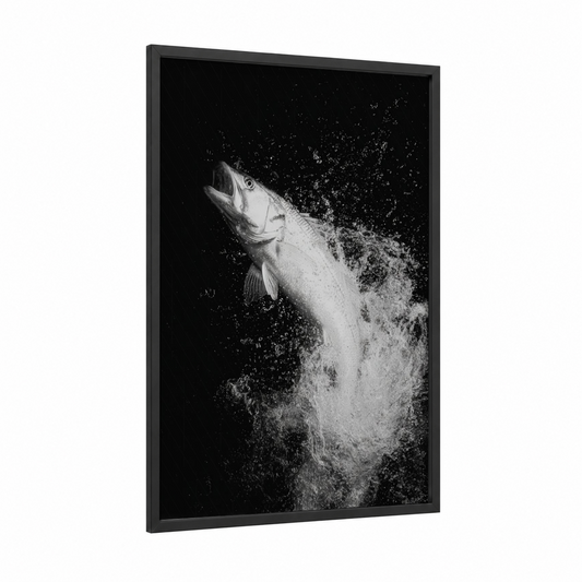 Jumping Snook framed art print — black wood frame — black and white palette