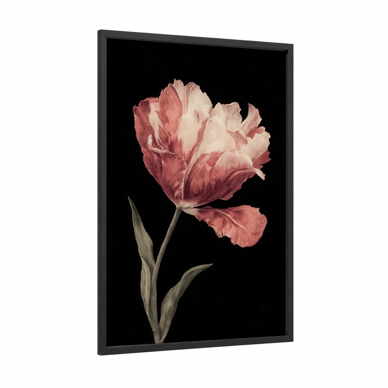 Blushing Tulip framed art print — black wood frame — salmon pink and white palette