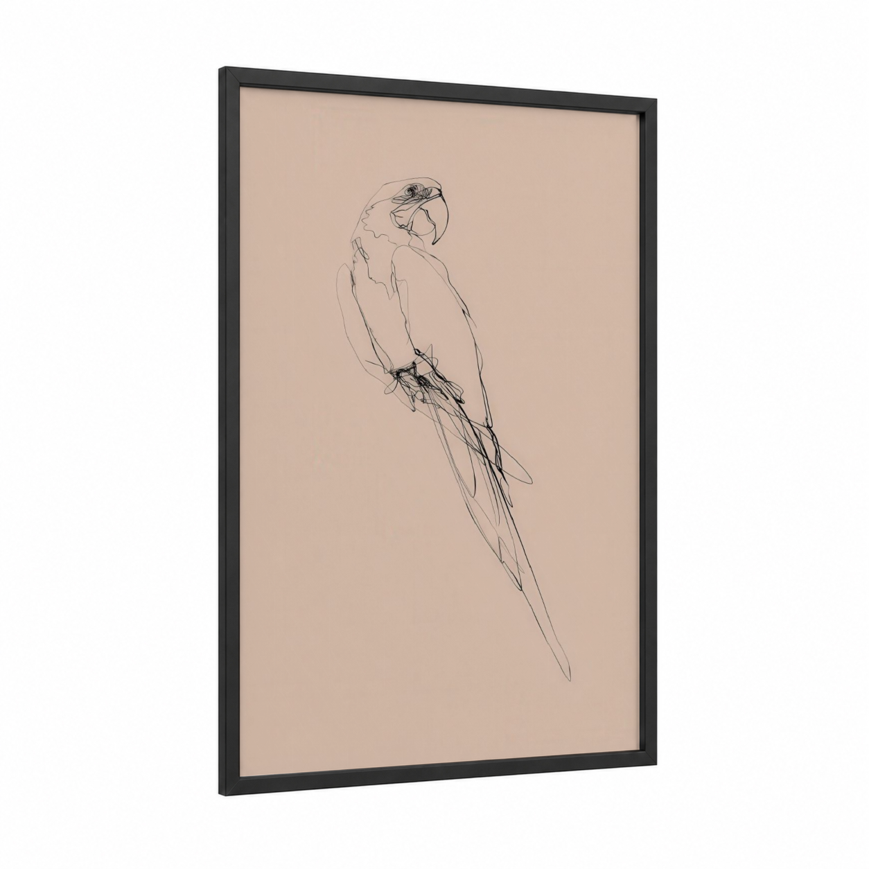 Minimalist Macaw framed art print — black wood frame — beige and black palette