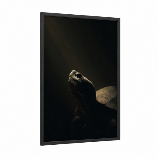 Majestic Turtle Profile framed art print — black wood frame — black and gold palette