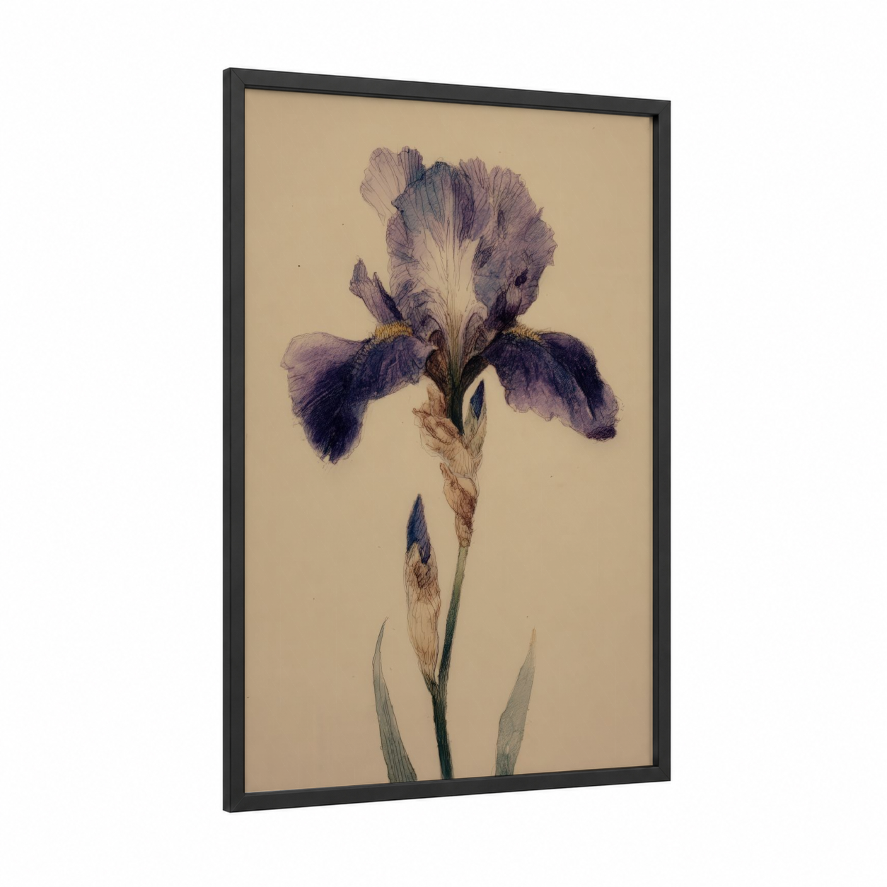 Purple Iris Portrait framed art print — black wood frame — purple and gold palette