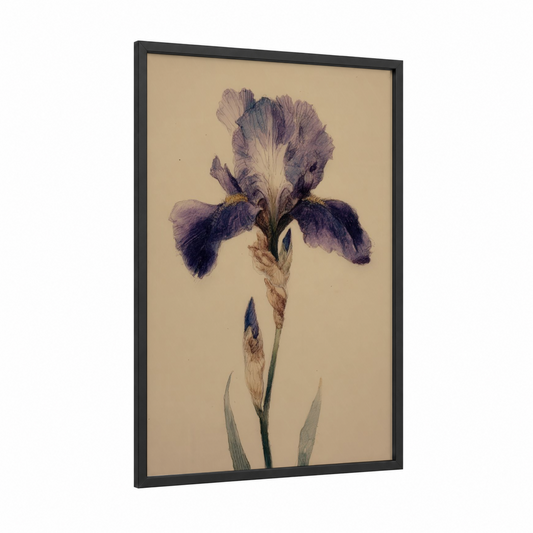 Purple Iris Portrait framed art print — black wood frame — purple and gold palette