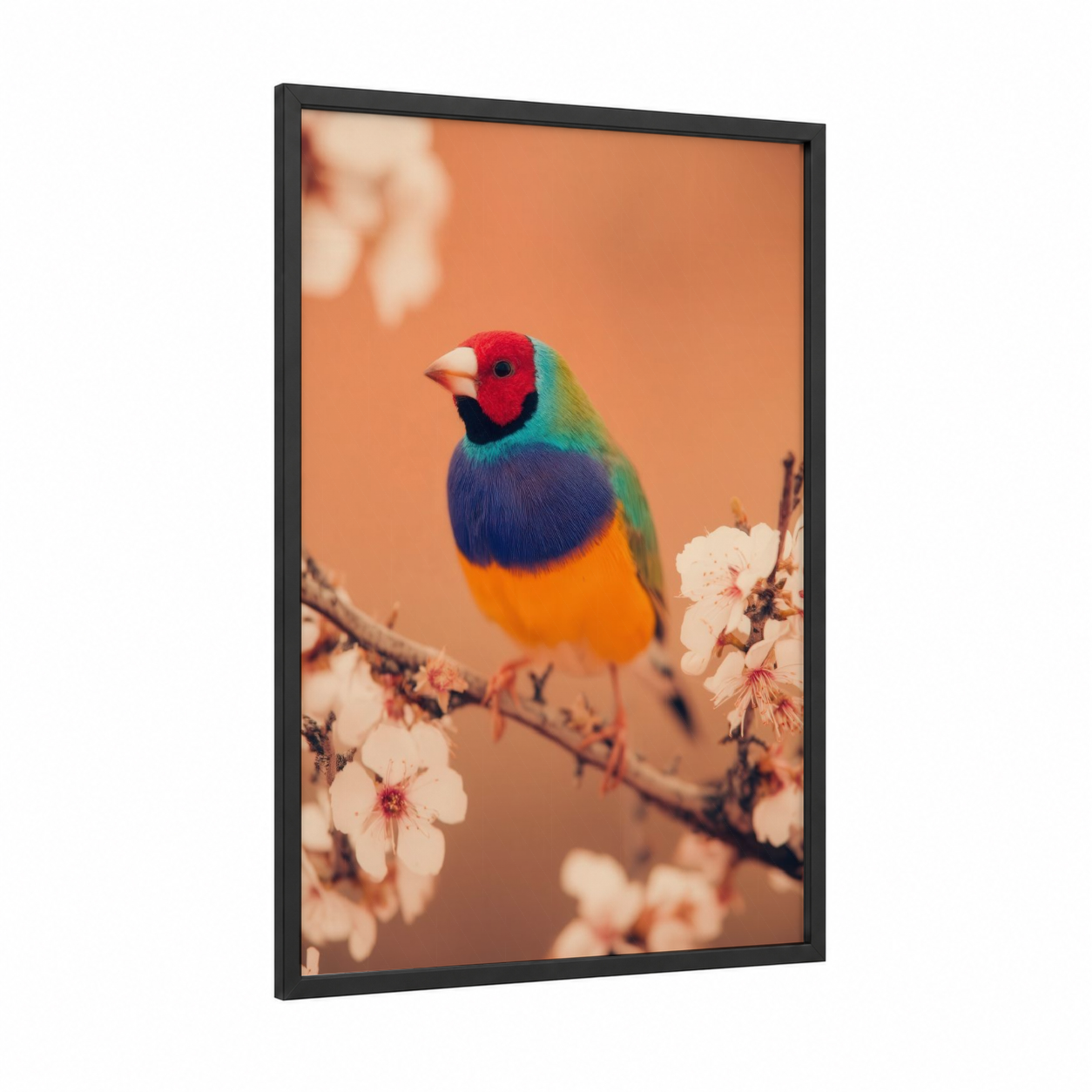Rainbow Finch framed art print — black wood frame — peach and true green palette