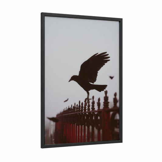 Perched Raven framed crows and ravens print — black wood frame — black and gray and white palette