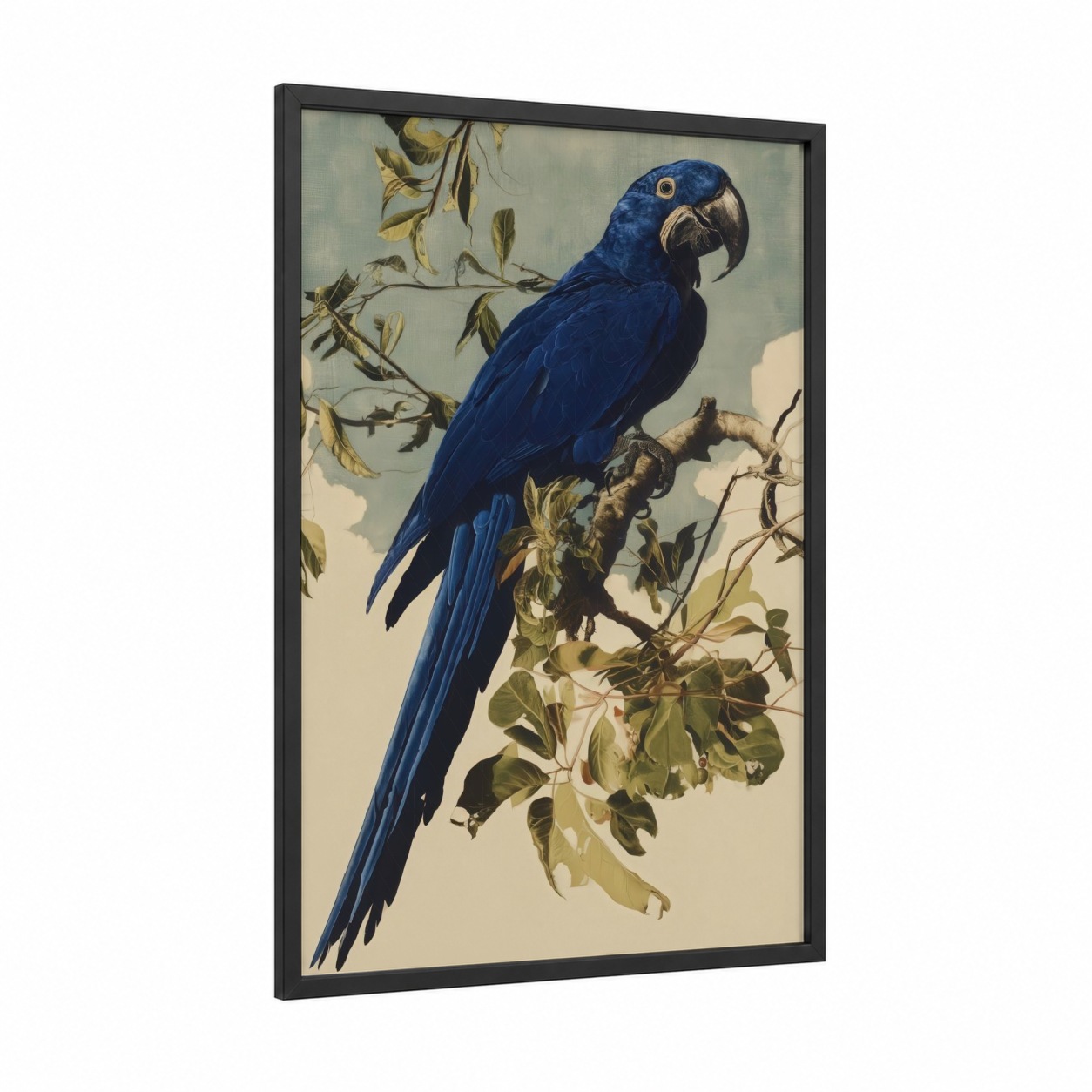 Cobalt Macaw Perch framed safari parrots print — black wood frame — blue and sage green palette