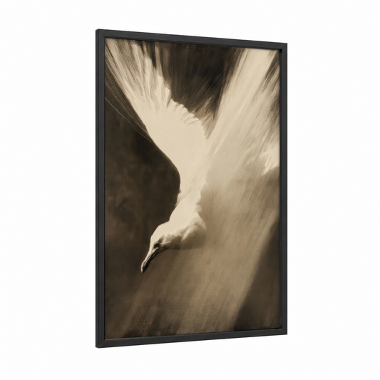 Windswept Seagull framed art print — black wood frame — black and white and cream palette
