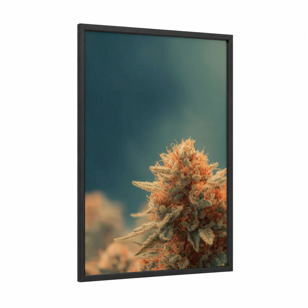 Amber Flower Macro framed marijuana print — black wood frame — teal and peach palette