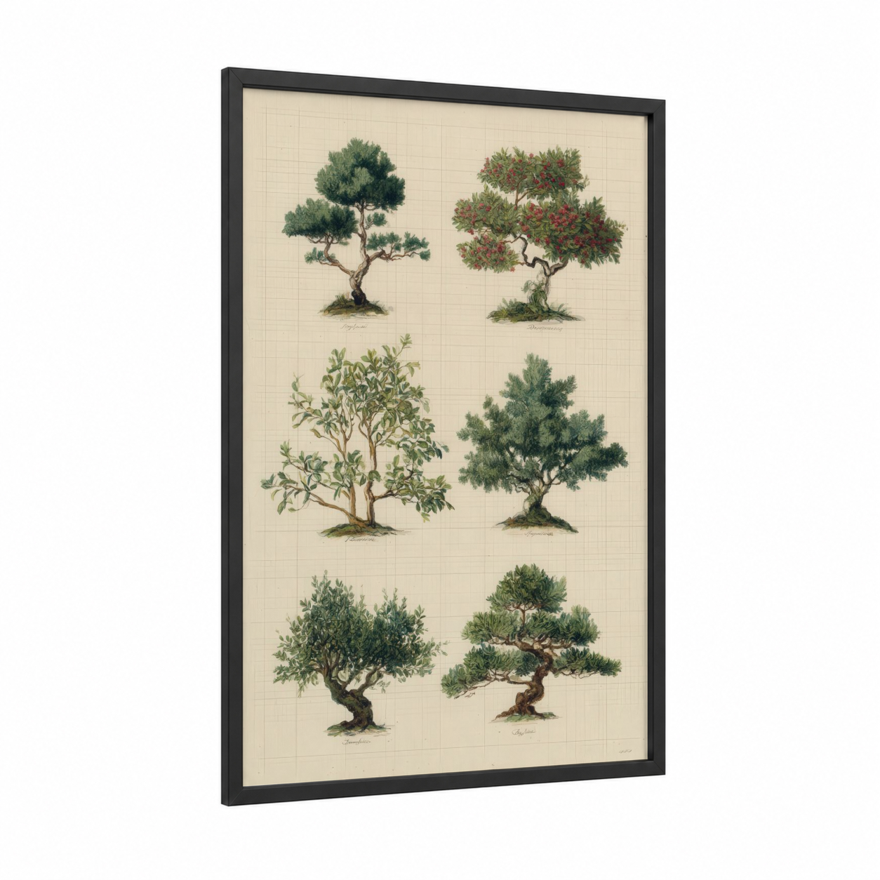 Vintage Bonsai Collection framed bonsai tree print — black wood frame — cream and true green palette