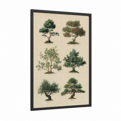 Vintage Bonsai Collection framed bonsai tree print — black wood frame — cream and true green palette