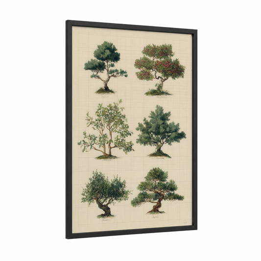 Vintage Bonsai Collection framed bonsai tree print — black wood frame — cream and true green palette