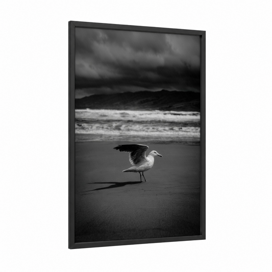 Solitary Seagull framed art print — black wood frame — black and white and gray palette