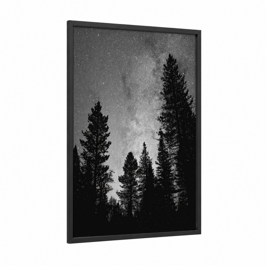 Starlit Forest framed night sky print — black wood frame — black and white and gray palette