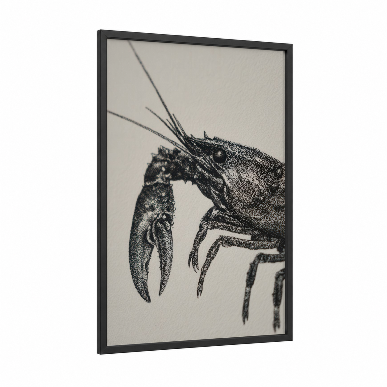 Detailed Crayfish framed art print — black wood frame — black and white palette