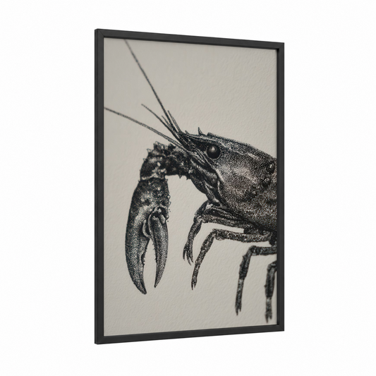 Detailed Crayfish framed art print — black wood frame — black and white palette