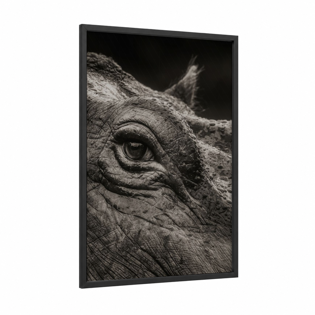 Textured Hippo framed art print — black wood frame — black and white palette