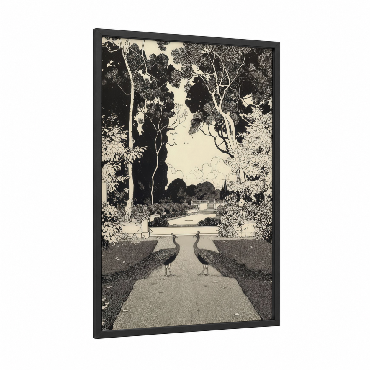 Garden Peacocks framed art print — black wood frame — black and white palette