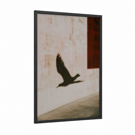 Shadow Seagull framed art print — black wood frame — black and cream palette