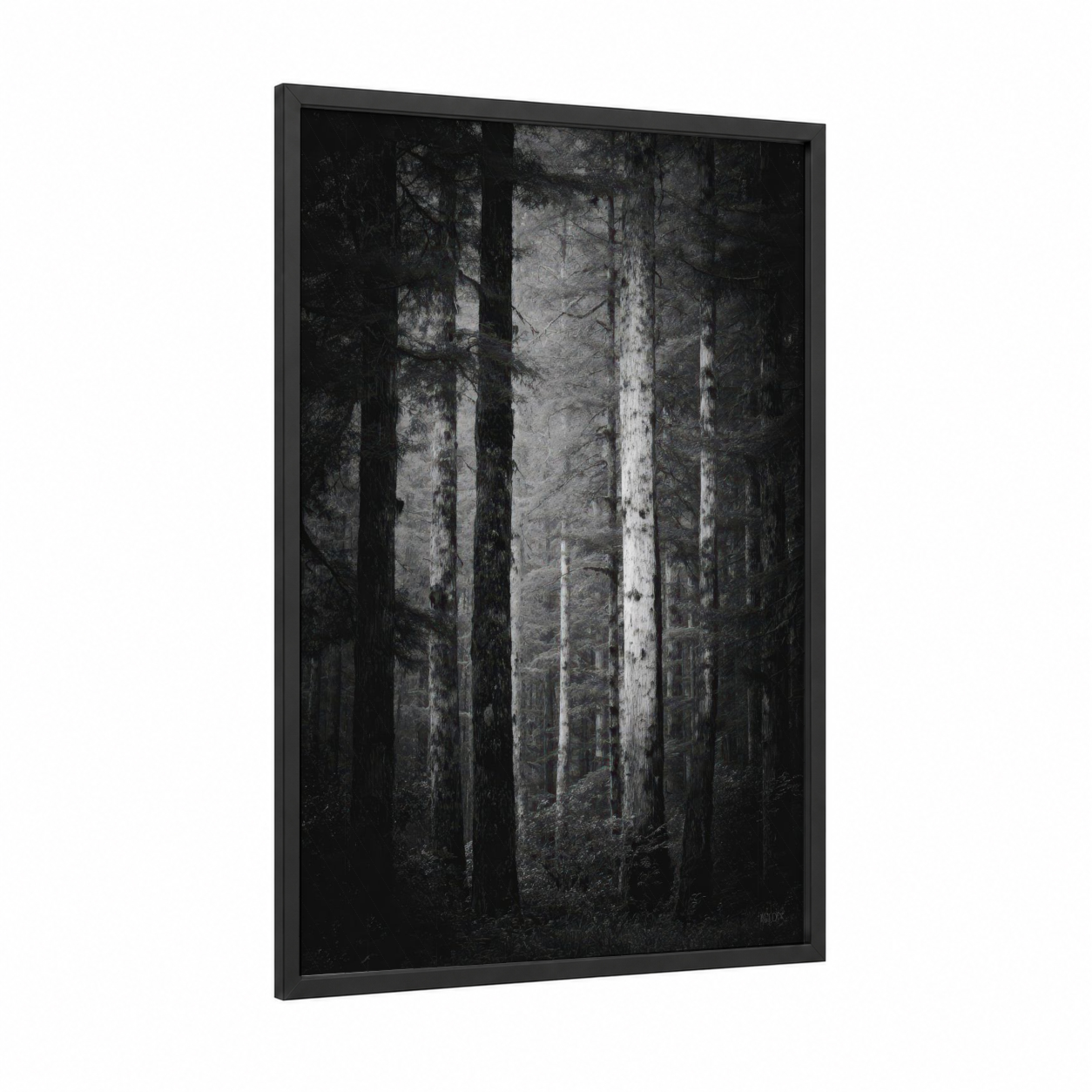 Misty Forest Corridor framed forest trees print — black wood frame — black and white and gray palette