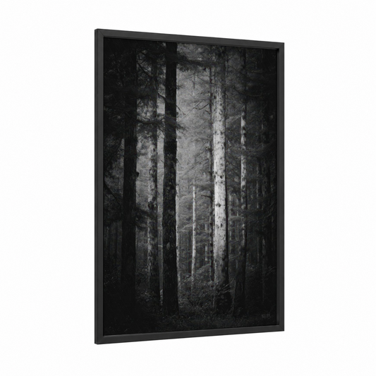 Misty Forest Corridor framed forest trees print — black wood frame — black and white and gray palette