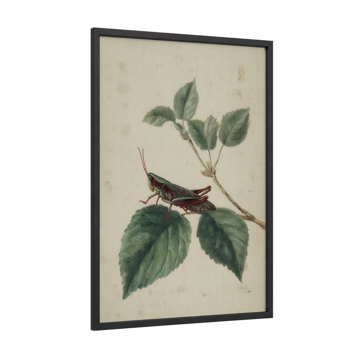 Vintage Grasshopper framed art print — black wood frame — beige and sage green palette