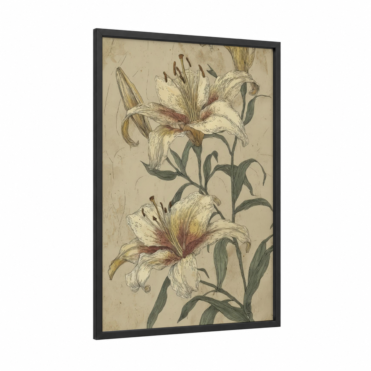 Vintage Lily Study framed art print — black wood frame — cream and maroon palette