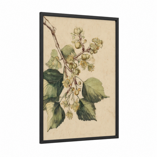 Linden Botanical framed linden tree print — black wood frame — cream and dark green palette