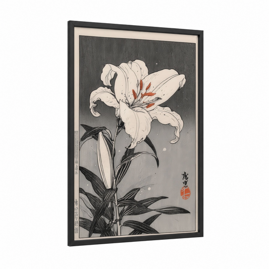 White Amaryllis Bloom framed amarillys print — black wood frame — white and gray palette