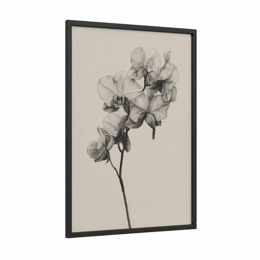 Graceful Orchid Study framed art print — black wood frame — black and white and cream palette