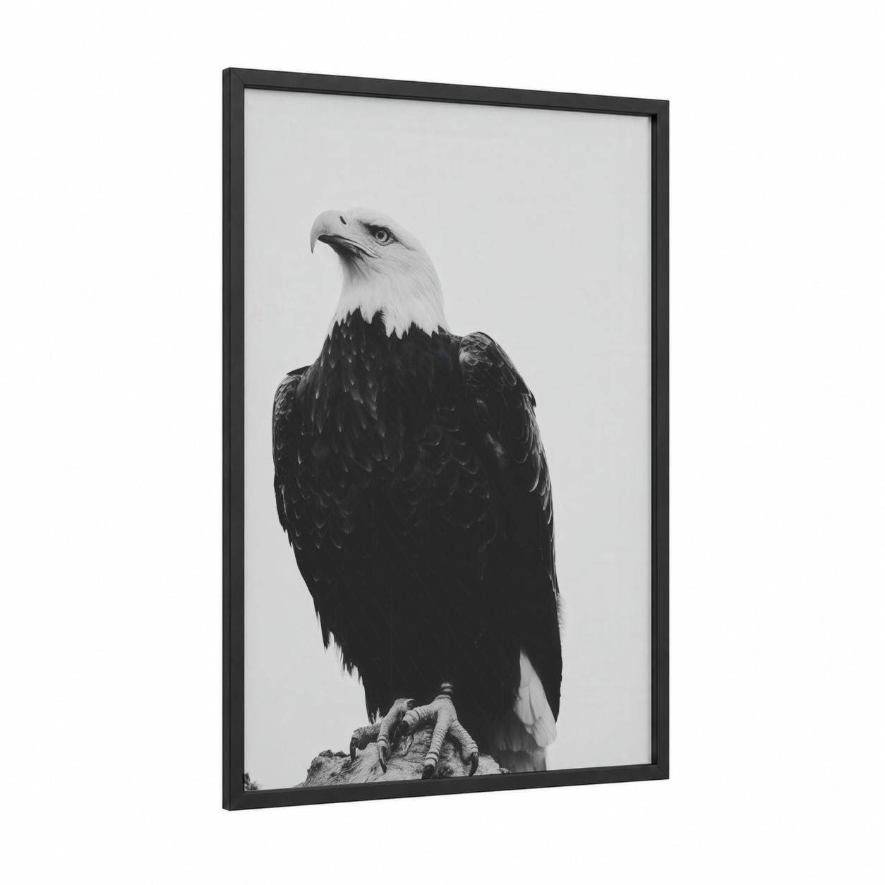 Majestic Eagle framed art print — black wood frame — black and white palette