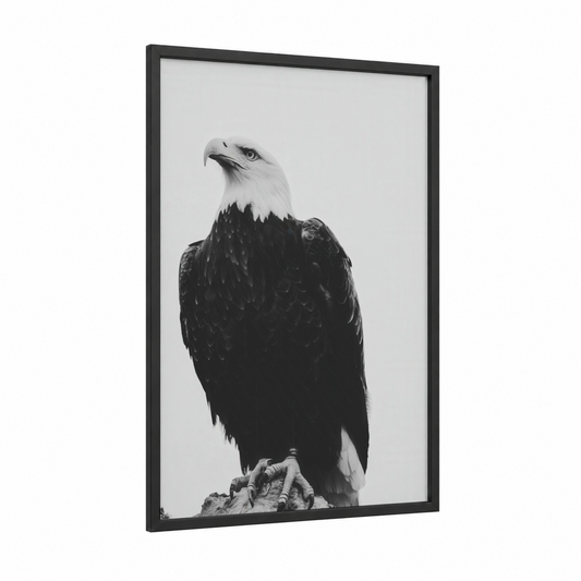 Majestic Eagle framed art print — black wood frame — black and white palette