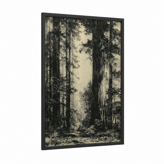 Ancient Redwood Grove framed redwood tree print — black wood frame — black and white and cream palette