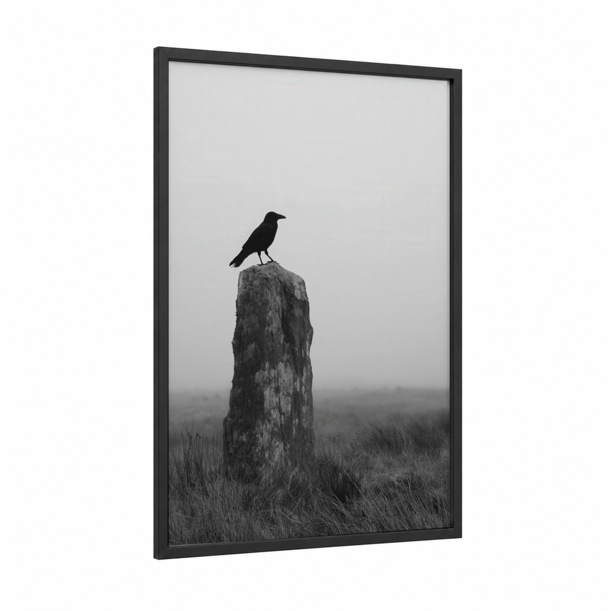 Solitary Raven framed crows and ravens print — black wood frame — black and white and gray palette