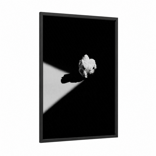 Sunlit Popcorn framed art print — black wood frame — black and white palette