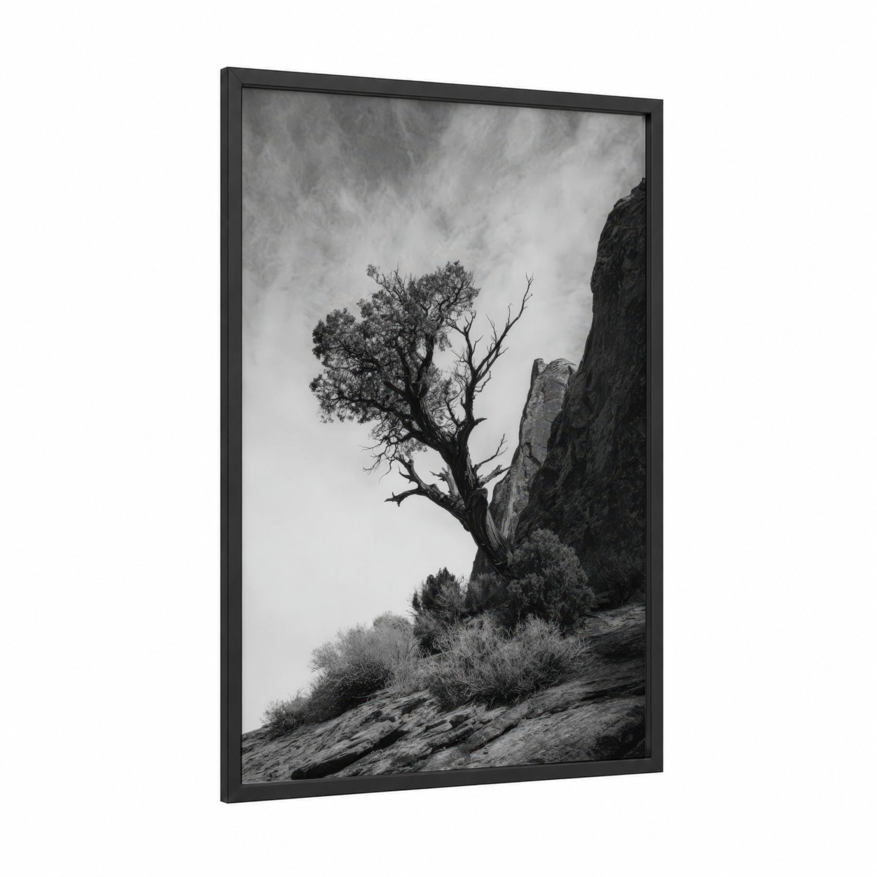 Cliffside Desert Tree framed savanna and desert trees print — black wood frame — black and white palette