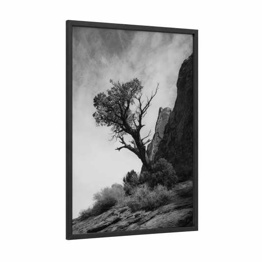 Cliffside Desert Tree framed savanna and desert trees print — black wood frame — black and white palette