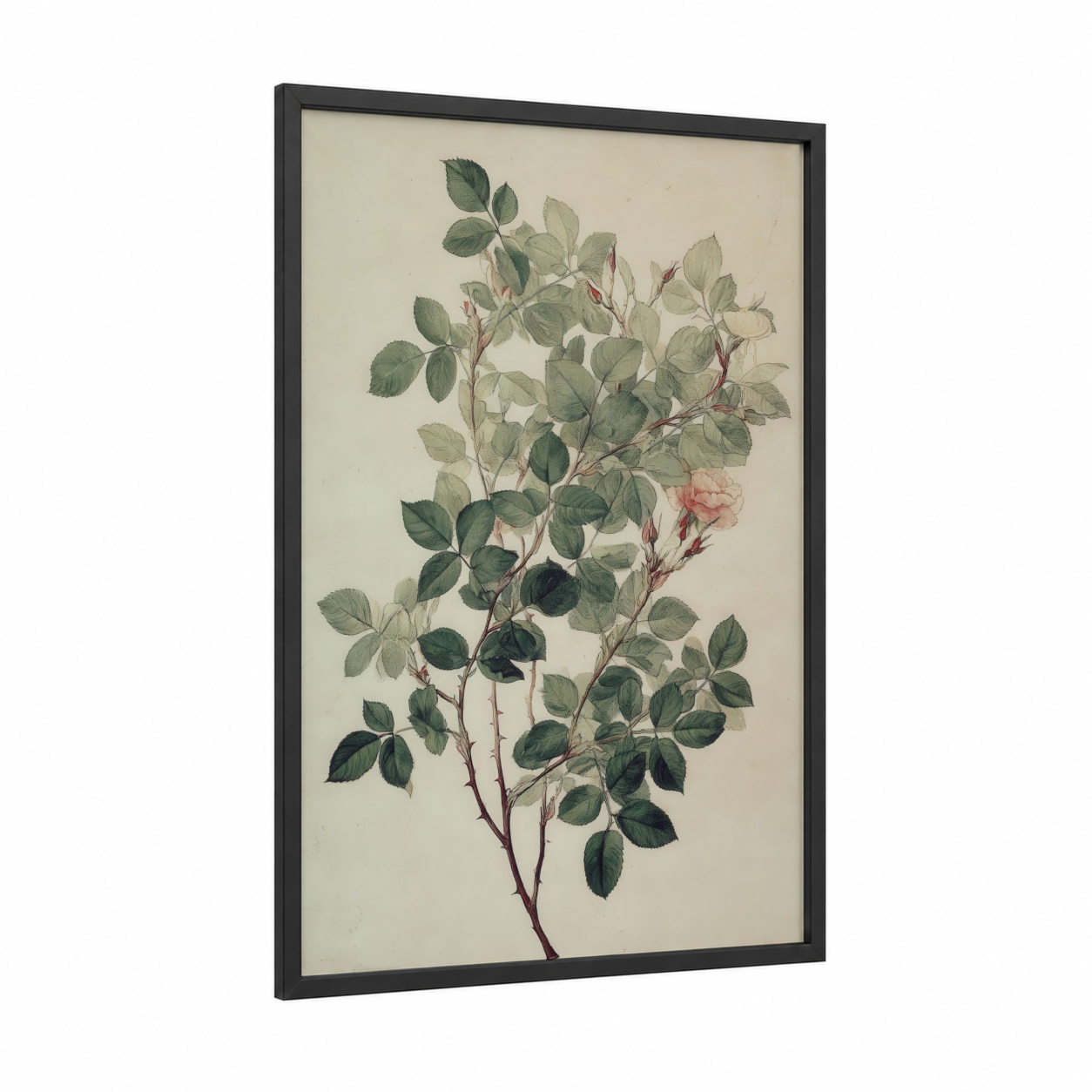 Botanical Rose Branch framed leaf print — black wood frame — sage green and cream palette