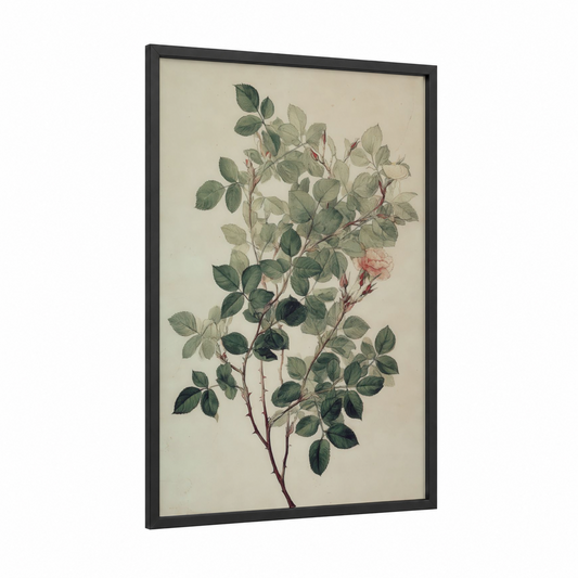 Botanical Rose Branch framed leaf print — black wood frame — sage green and cream palette