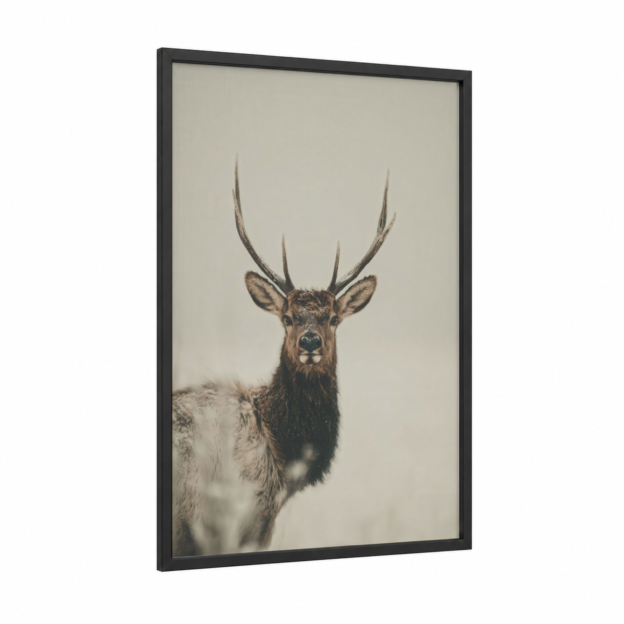 Majestic Elk Portrait framed art print — black wood frame — beige and dove gray palette