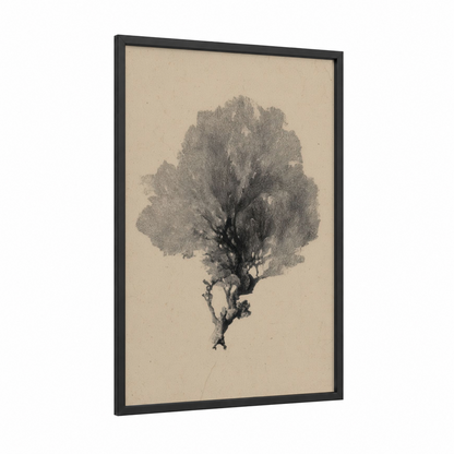 Delicate Coral framed art print — black wood frame — black and white and beige palette